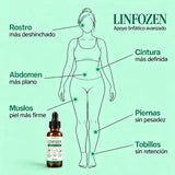 Dónde vas a notar Linfozen: rostro, cintura, abdomen, piernas, muslos y tobillos