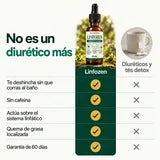 Linfozen no es un diurético más: comparación con diuréticos y tés detox